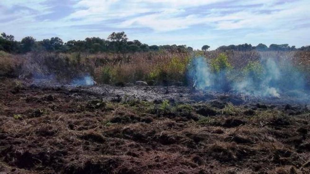 En agosto, se perdieron otras 838 hect�reas de bosque nativo