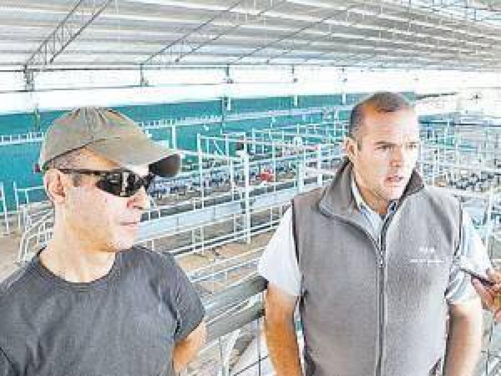 Un tambo con 900 vacas y a un paso de 3 orde�es diarios