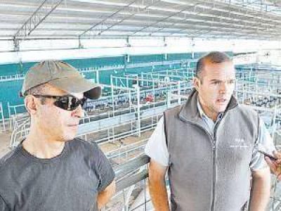Un tambo con 900 vacas y a un paso de 3 orde�es diarios
