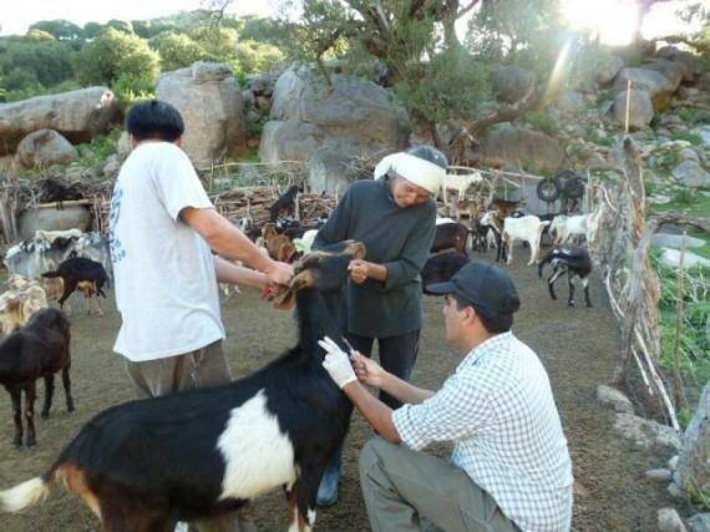 El Ministerio del Campo contin�a asesorando a peque�os productores