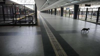 Reponen los trenes que faltaban y vuelve a funcionar el Sarmiento