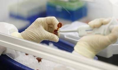 El Ministerio de Salud confirma casos ambulatorios de Gripe A