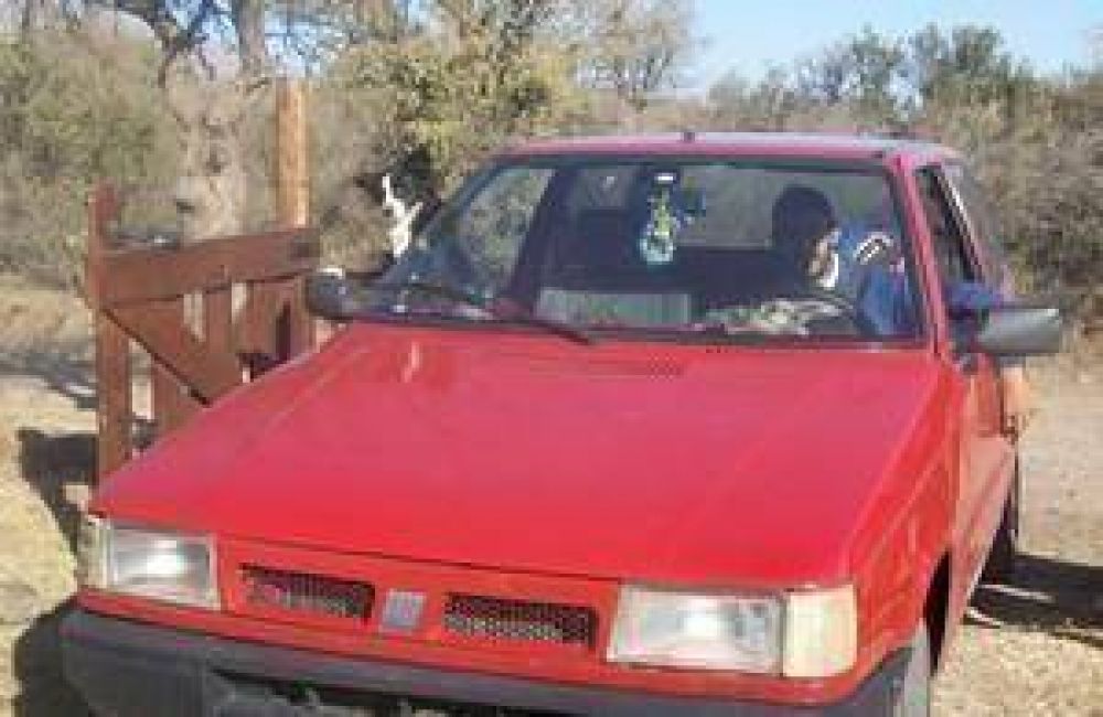 Le roban auto a periodista estacionado en la vereda la puerta de su casa