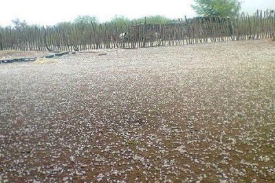 Temporal con granizo y lluvia sorprendi� a los pobladores del sur