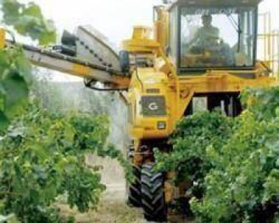El INTA y la UNSJ construyen la primera cosechadora de parrales