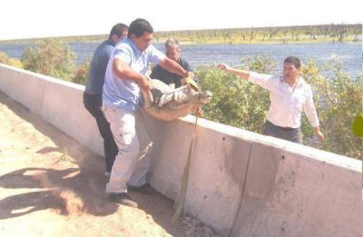 Ejecutar�n importantes acciones para preservar el ambiente en el Ba�ado La Estrella