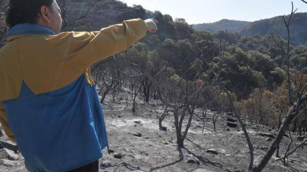 Podr�a ser el a�o con menos incendios en dos d�cadas