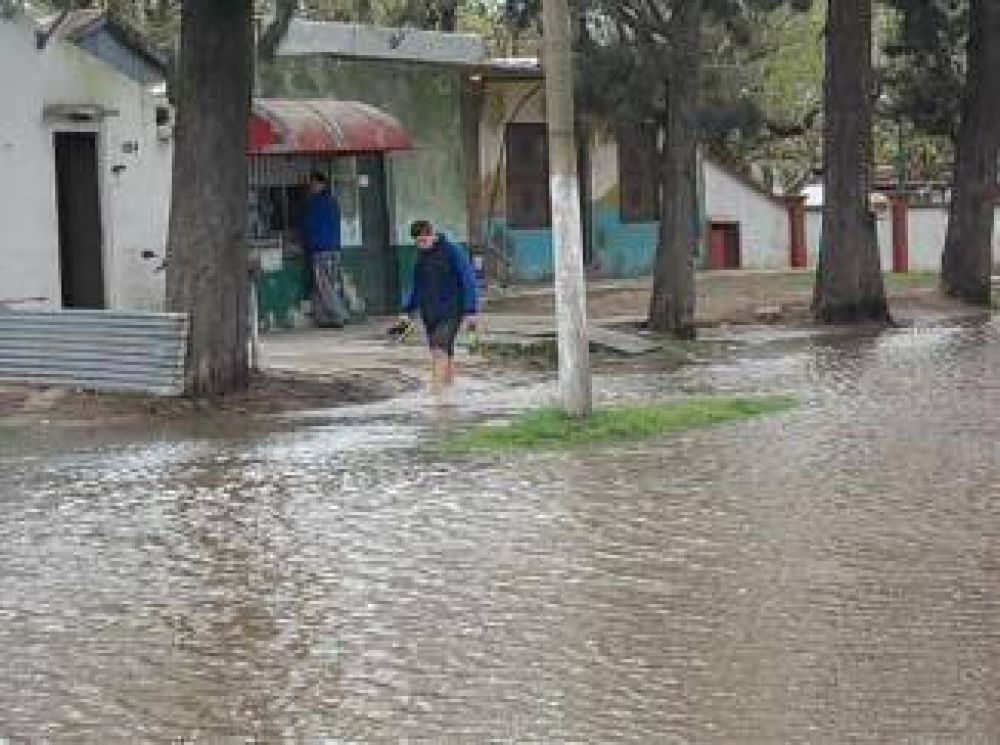 Volvi� a subir el r�o, provocando anegamientos en toda la Ribera