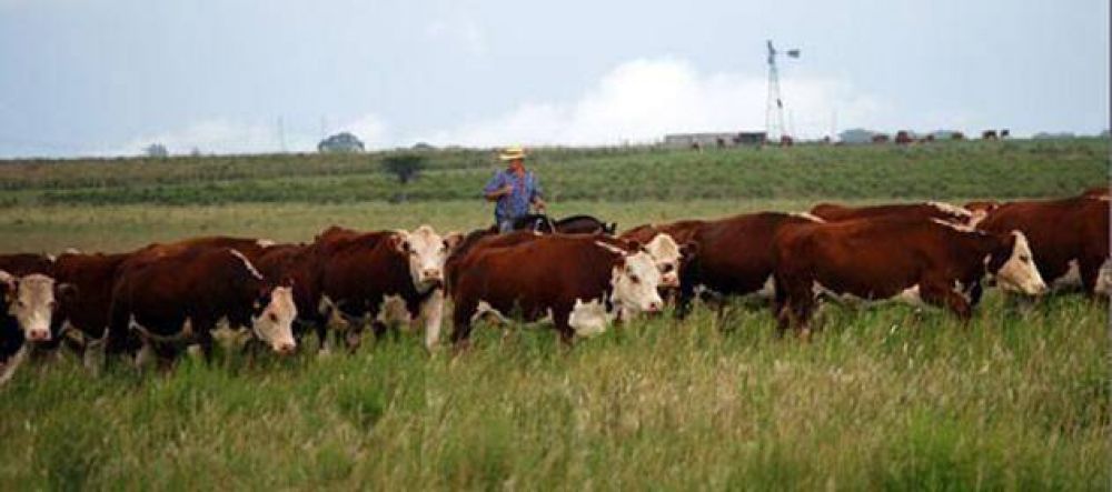 El 3 de octubre el IPCVA realizar una jornada a campo en Entre Ros