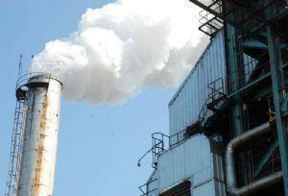 Expondr�n el trabajo de ONG ambientales