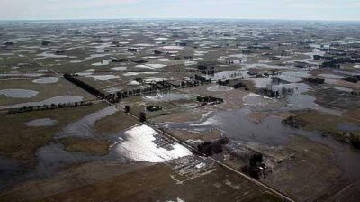 Los campos de Olavarr�a, despu�s de las lluvias