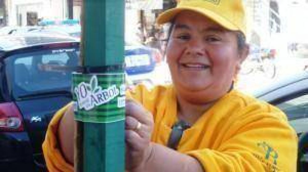 El Municipio Repuso �rboles En El Centro De Adrogu�