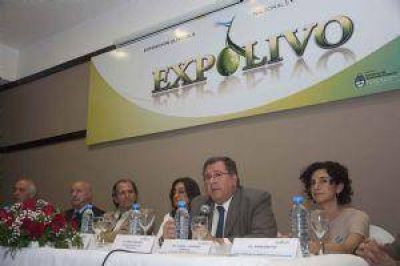 S�bado y domingo en EXPOLIVO