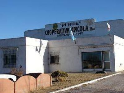 La Cooperativa Ap�cola avanza con gestiones para la exportaci�n de miel