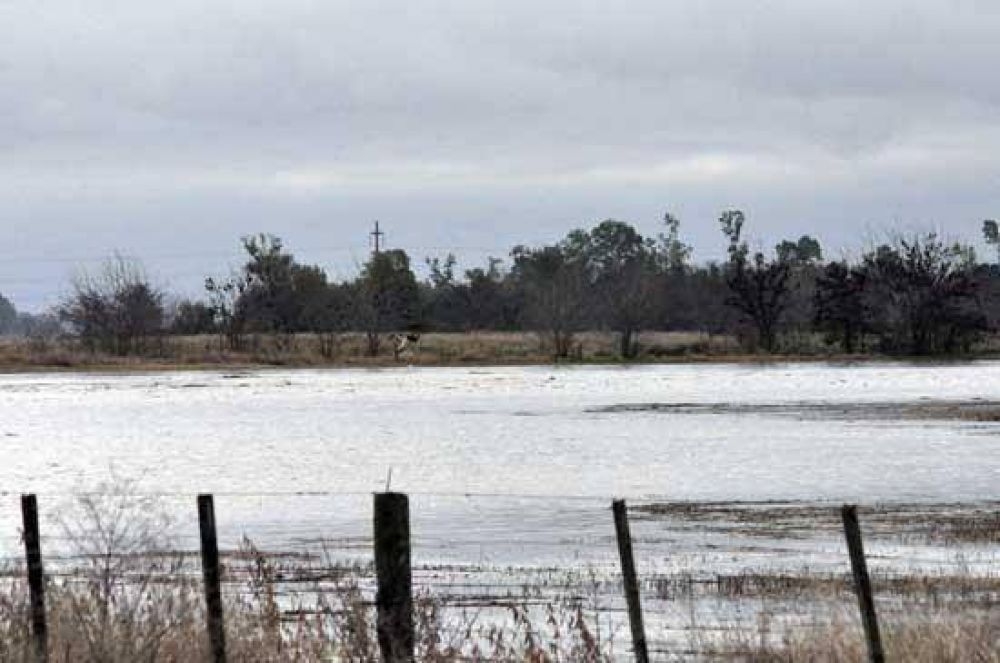 Emergencia Agropecuaria: extienden plazos para presentar las planillas