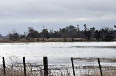 Emergencia Agropecuaria: extienden plazos para presentar las planillas