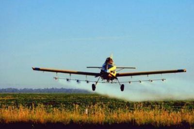  Fumigaciones con agroqu�micos: Goyeneche dice que se debe actualizar la ley