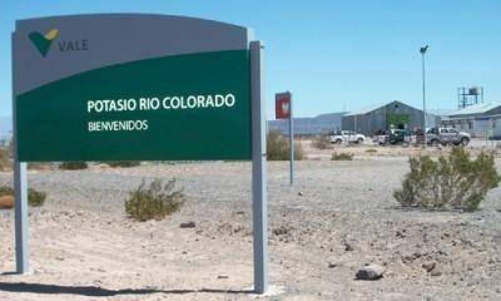 Potasio R�o Colorado: llegaron los vagones que trasladar�n el mineral desde Mendoza a Bah�a Balca