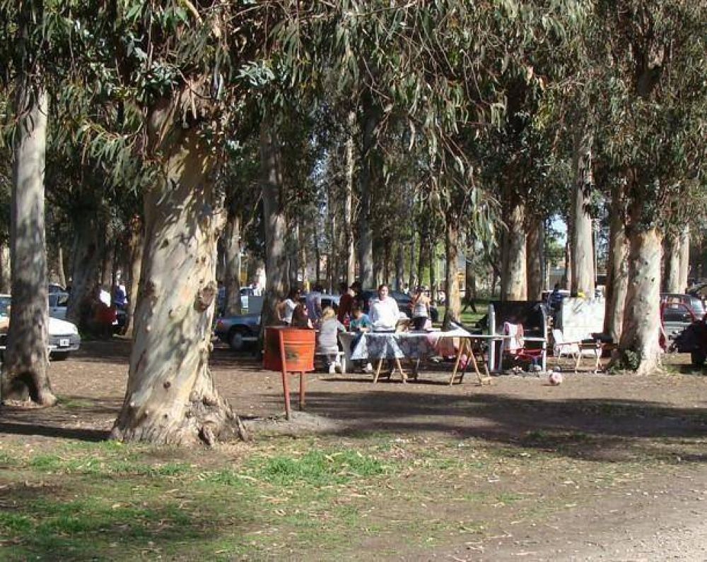 Sin lamentar graves incidentes, los estudiantes celebraron su d�a