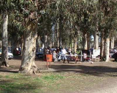 Sin lamentar graves incidentes, los estudiantes celebraron su d�a