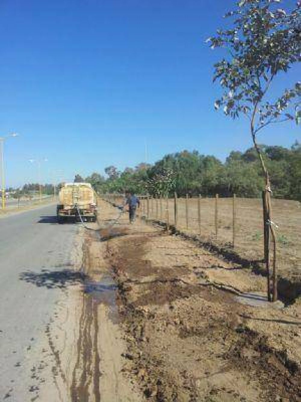 El municipio entreg� 300 �rboles