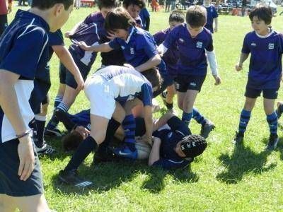 M�S DE 2.500 CHICOS EN ENCUENTRO DE RUGBY INFANTIL