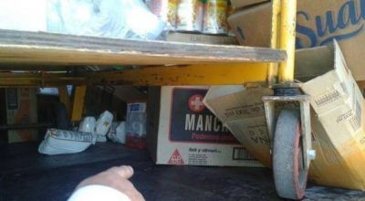 Cami�n transportaba alimentos junto a insecticidas