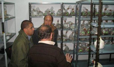 Pdo. de La Costa - Buscan nuevas formas de cultivar hongos comestibles