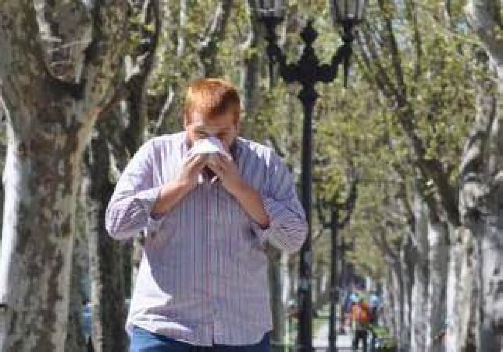 Con la primavera llegan las alergias 