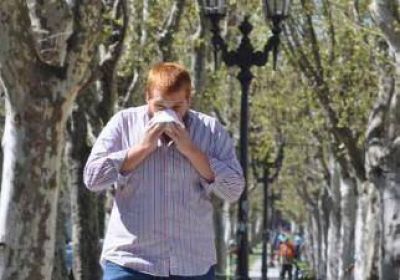 Con la primavera llegan las alergias 
