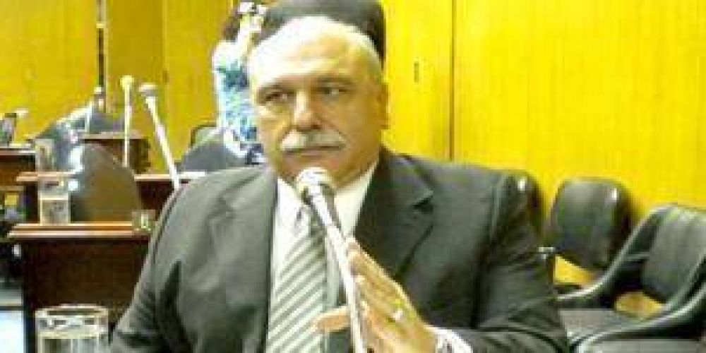 Ventimiglia: �La falta de materia prima para la industria maderera es preocupante�