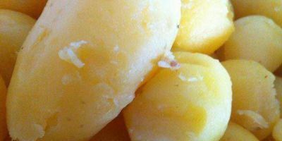 En 15 d�as disminuir� el precio del kilo de papas
