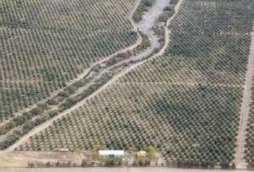 Quieren convertir a Huaco en polo ganadero-tur�stico