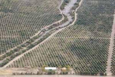 Quieren convertir a Huaco en polo ganadero-tur�stico