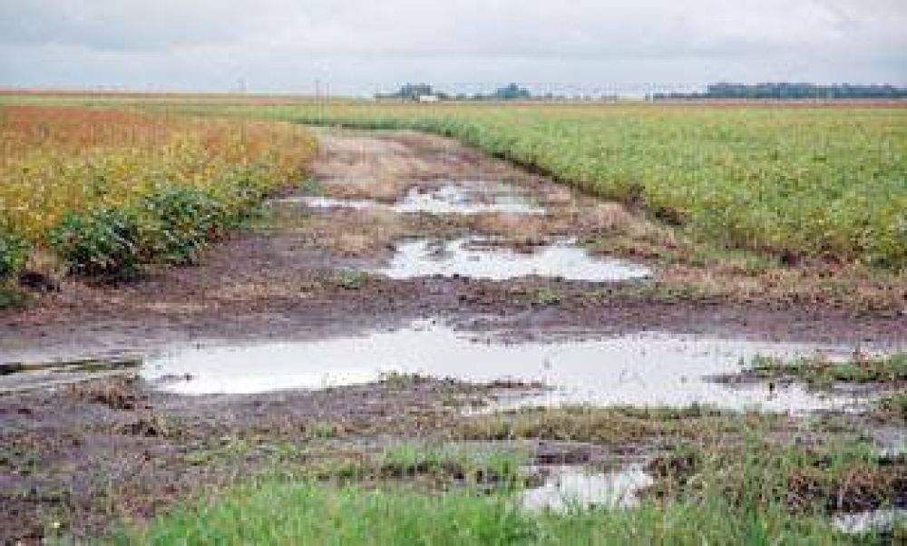 Complicada situaci�n de los arrendatarios de campos inundados