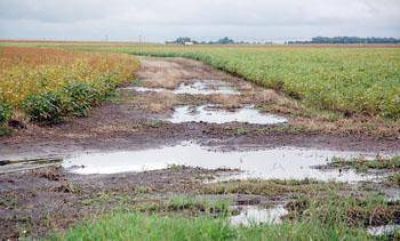 Complicada situaci�n de los arrendatarios de campos inundados