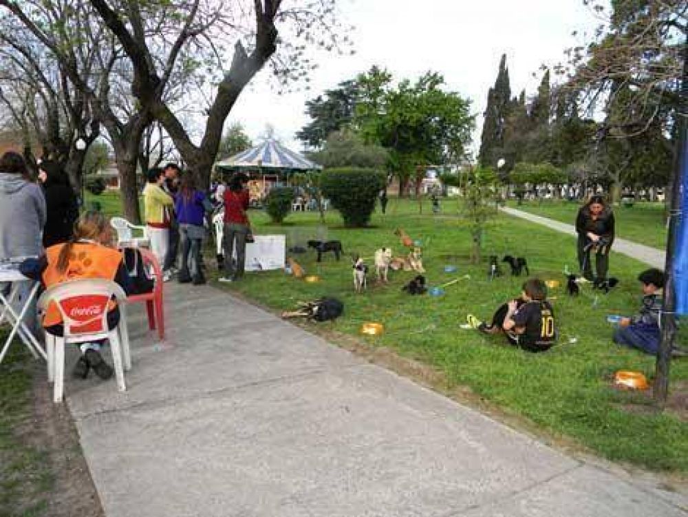 El Municipio le entreg� un predio a Chivilcotas ONG 
