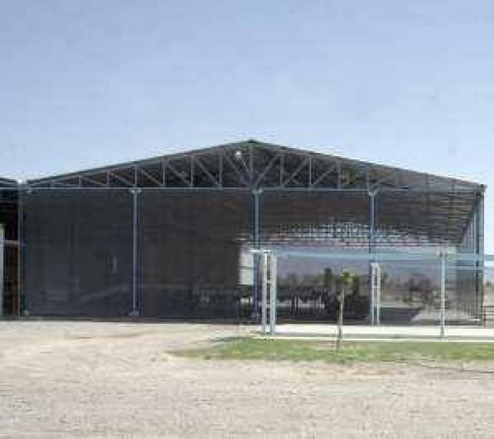 Ma�ana habilitan el primer frigor�fico de ajos estatal