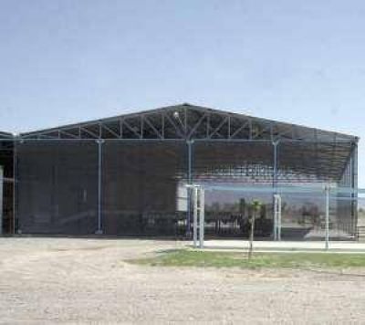 Ma�ana habilitan el primer frigor�fico de ajos estatal