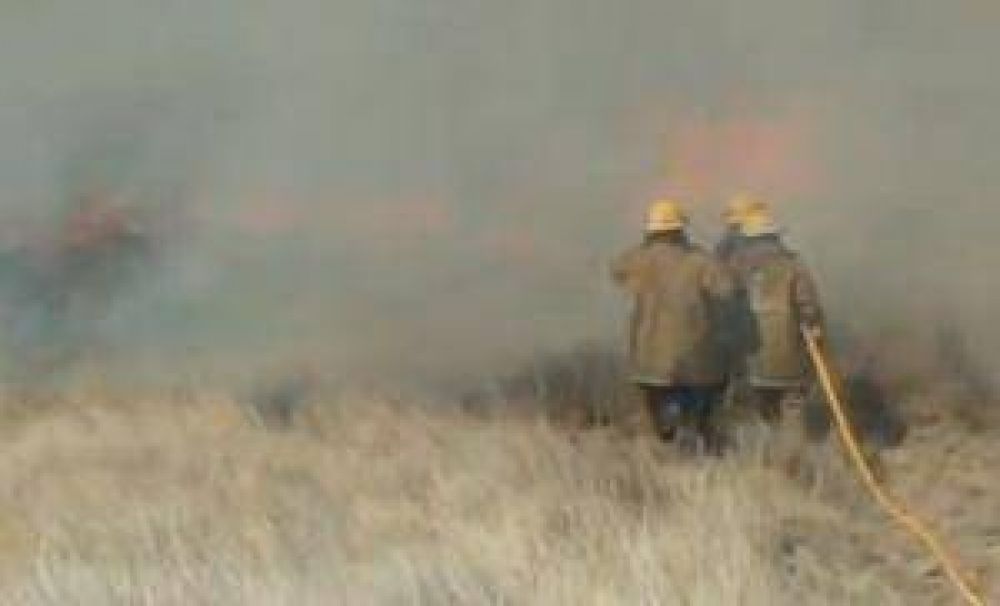 Incontrolable incendio en el l�mite de Plottier y Senillosa