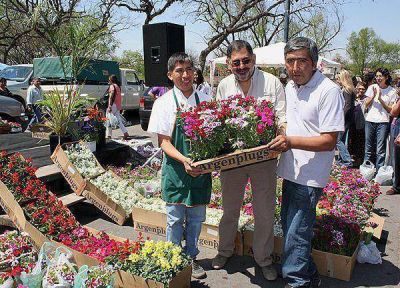Productores donaron m�s de dos mil plantines al Municipio Capitalino