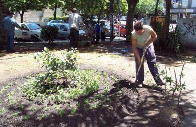 Refuerzan la utilizaci�n de agua no potable para riego en plazas