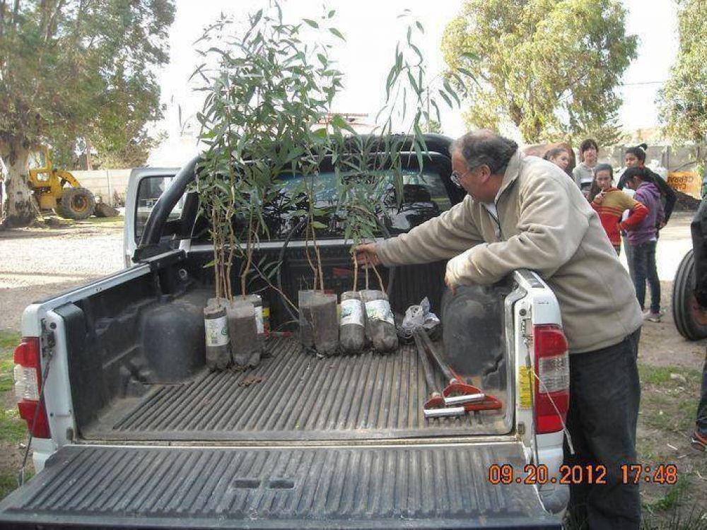 Contin�a el plan de forestaci�n en Chasic�