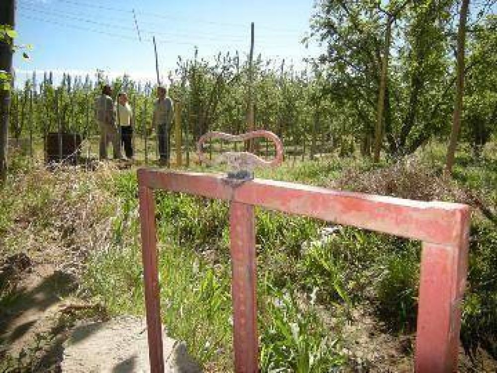 Apenas un 25% paga por el riego en las chacras de Allen
