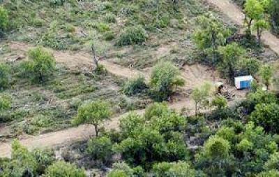 Gobierno pidi� informe a Catastro