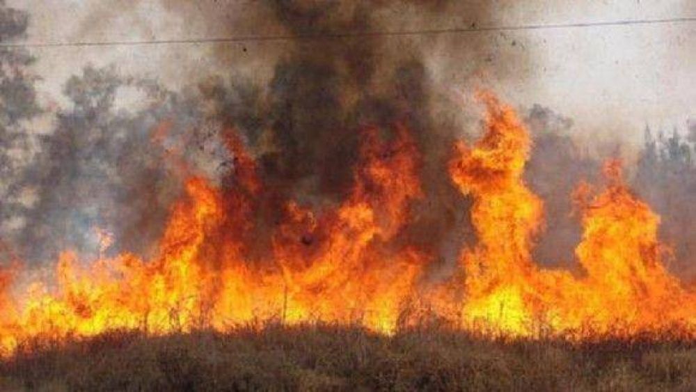  La quema de un ca�averal dej� sin luz a miles de tucumanos