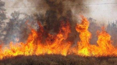  La quema de un ca�averal dej� sin luz a miles de tucumanos