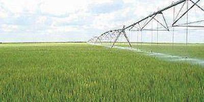 Arranc� la siembra en el cultivo de arroz en la provincia