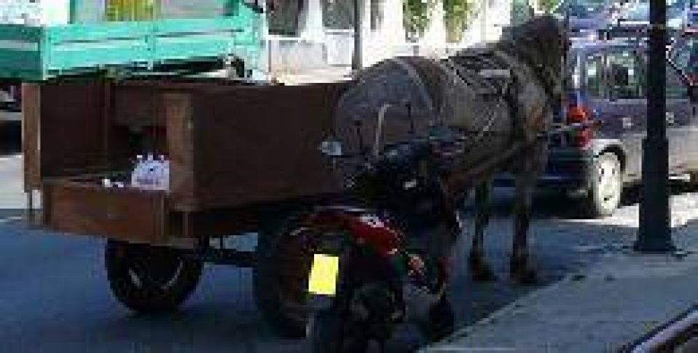 Pretenden prohibir la circulaci�n de veh�culos con �tracci�n a sangre� en Misiones