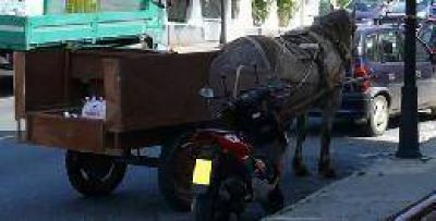 Pretenden prohibir la circulaci�n de veh�culos con �tracci�n a sangre� en Misiones